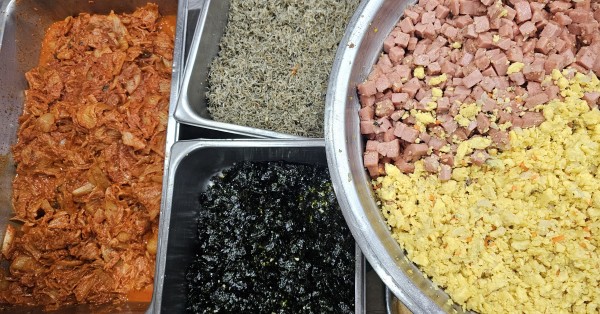 0e3079e87a86f288361c524f16942888_1750904